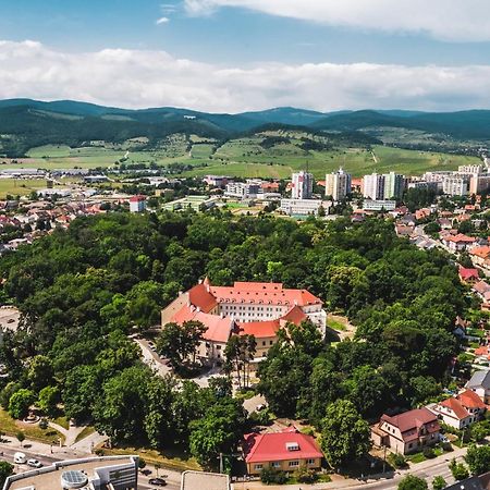 Palace Art Hotel Pezinok Exterior foto